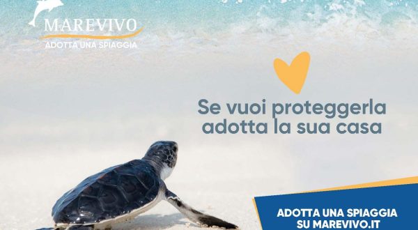 Riparte la campagna nazionale di Marevivo “Adotta una spiaggia”