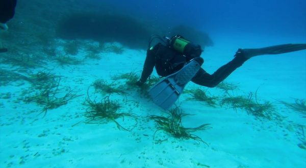 Tutela dei mari, prende il via da Palermo il progetto “Save the wave”