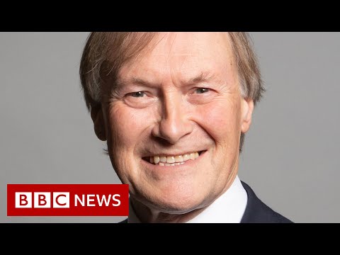 Man guilty of murdering UK PM Sir David Amess – BBC News