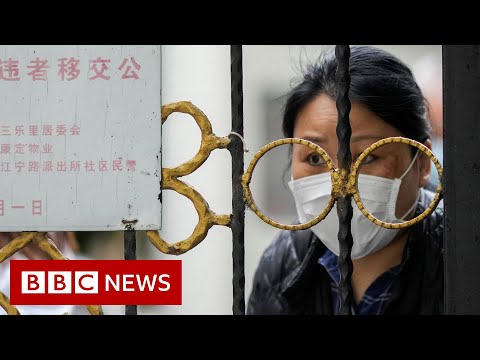 China’s ‘economic costs are rising’ due to Shanghai lockdown – BBC News