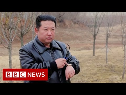 North Korea celebrates 10 years of Kim Jong-un’s rule – BBC News