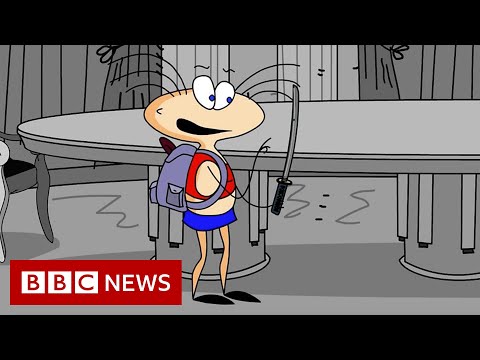 Why the cartoon Masyanya was banned in Russia – BBC News