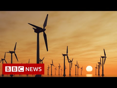 UN scientists say it’s ‘now or never’ to limit global warming – BBC News