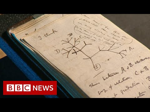 ‘Stolen’ Charles Darwin notebooks left on library floor in pink gift bag – BBC News