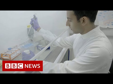 Science rejuvenates woman’s skin cells to 30 years younger – BBC News