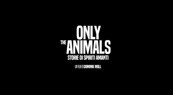 Only the Animals – Storie di spiriti amanti, il trailer