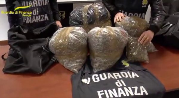 Sequestrati a Perugia 24 kg di marijuana, arrestato albanese