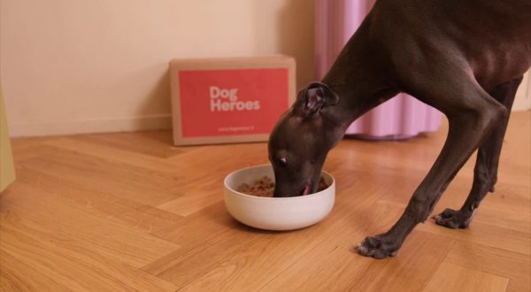 Con il digitale cresce anche il mercato del pet food