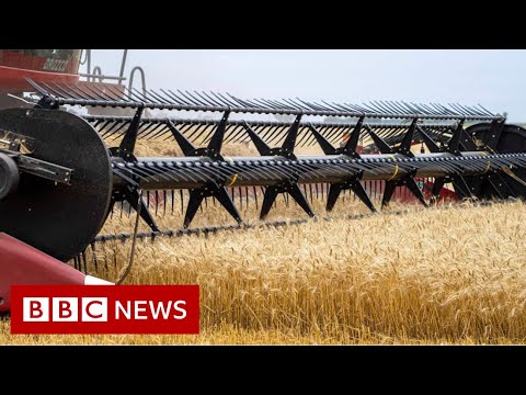 Russian invasion of Ukraine could cause global food crisis, UN warns – BBC News