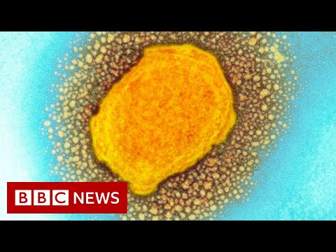 How to spot symptoms of monkeypox – BBC News