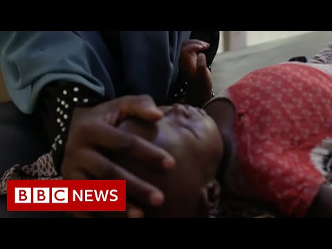 Somalia now suffering its worst drought in 40 years, UN warns – BBC News