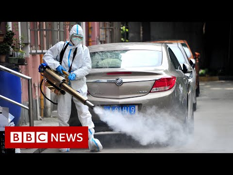 Shanghai begins easing strict Covid restrictions as cases fall – BBC News