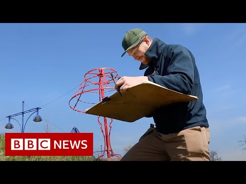 UK artist sketches conflict in Ukraine – BBC News