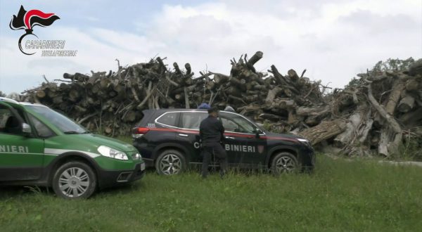 Corruzione, otto arresti nelle Marche