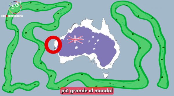 Australia, trovato l’organismo più grande del mondo