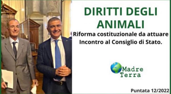 Madre Terra – Diritti degli animali