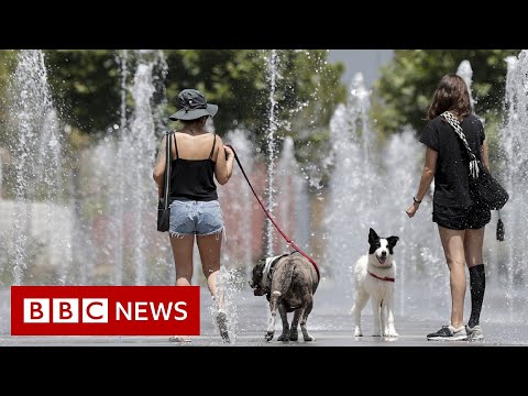 Spain heatwave brings record temperatures – BBC News