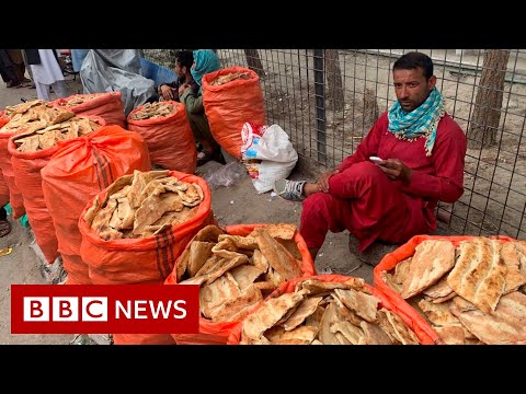 Scraps of stale bread ‘keeping Afghans alive’ – BBC News