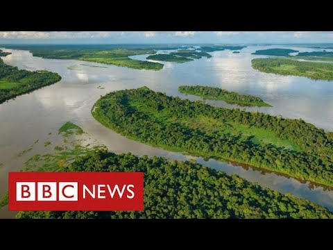 Climate change threat in Congo as vast carbon-rich peat slab faces development – BBC News