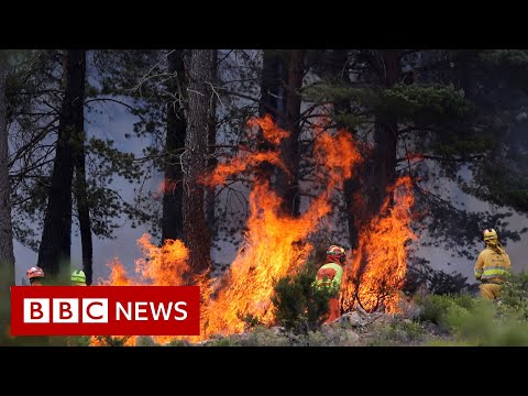 Wildfires breakout in Northern Spain following heatwave – BBC News