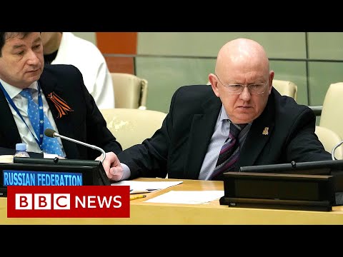 Russia UN ambassador walks out of security council meeting – BBC News