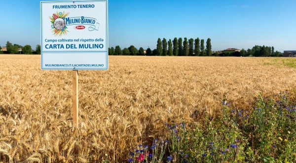 Barilla, continua a crescere l’impegno per la sostenibilità