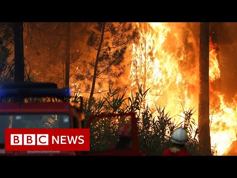 Europe heatwave fuels wildfires in Portugal, France and Spain – BBC News