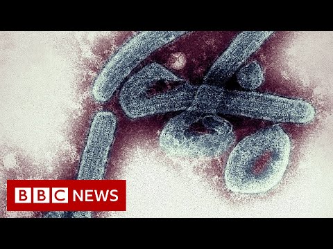 Marburg: Ghana confirms first cases of deadly virus – BBC News