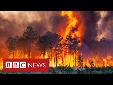 South of France faces “heat apocalypse” as thousands flee their homes – BBC News