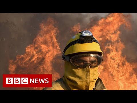 Heatwave: Wildfires spread across Europe as countries break record temperatures – BBC News