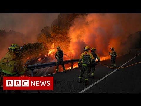 UK firefighters battle wildfires as extreme heat bakes Western Europe – BBC News