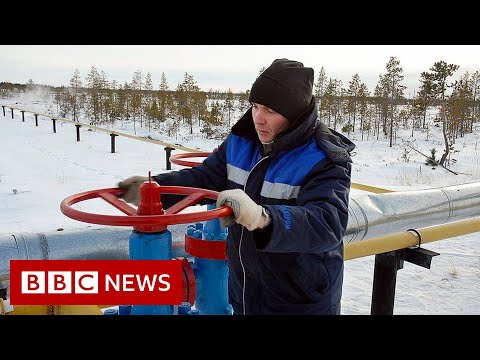 EU told to prepare for Russian gas shut-off – BBC News