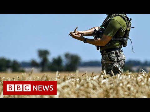 Why does the world need grain to be shipped from Ukraine? – BBC News