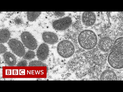 WHO declares highest alert over monkeypox outbreak – BBC News