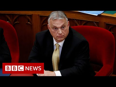 Hungary PM Viktor Orban’s adviser resigns over ‘pure Nazi’ speech – BBC News