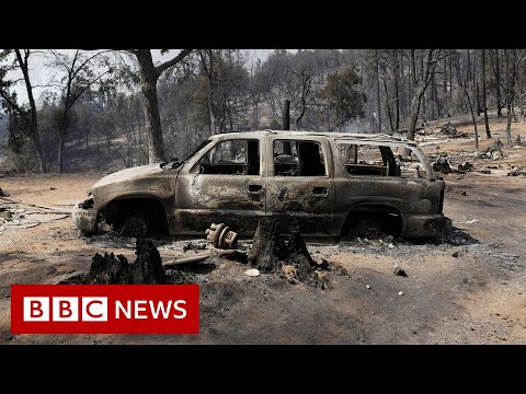 Californian family return to remains of their house after devastating wildfires – BBC News