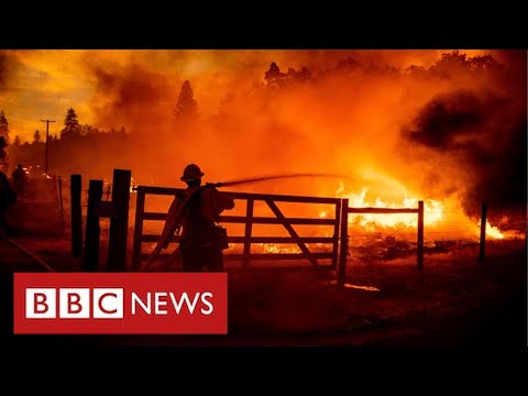 California wildfires destroy thousands of homes in sweltering temperatures – BBC News