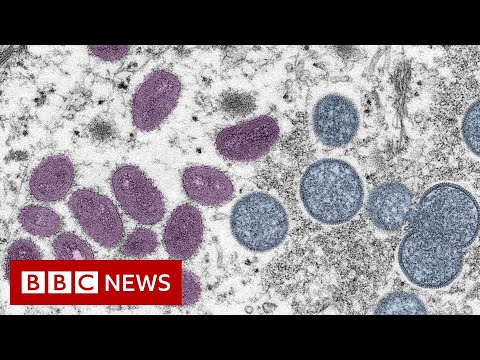 First monkeypox deaths reported outside Africa – BBC News