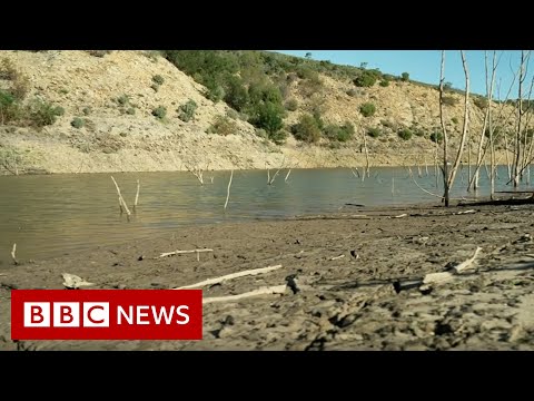 South African town running out of water – BBC News