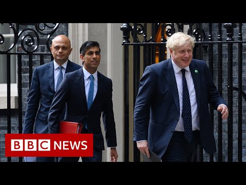 UK ministers Rishi Sunak and Sajid Javid resign from government – BBC News