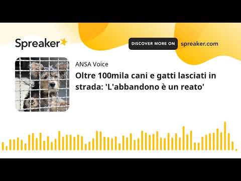 Oltre 100mila cani e gatti lasciati in strada: ‘L’abbandono è un reato’