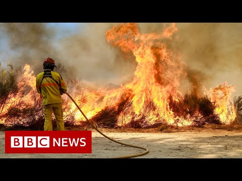 Is climate change to blame for extreme heat in Europe? – BBC News