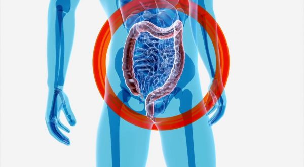 Intestino, l’importanza della varietà dei microrganismi