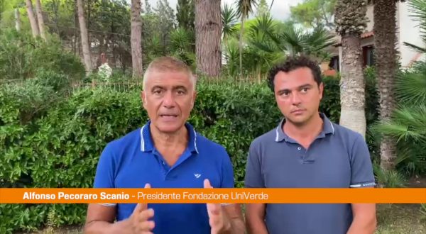 Energia, Pecoraro Scanio “Sconto in fattura per imprese e famiglie”