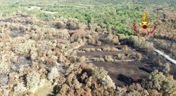 Ricognizione con i droni sul Carso goriziano dopo l’incendio