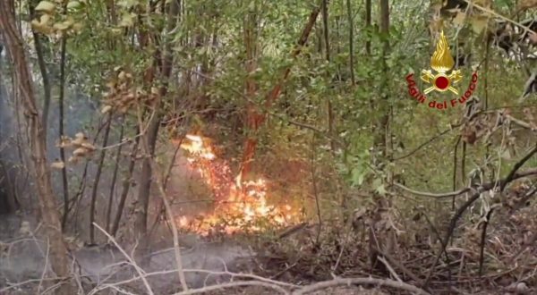 Incendio sul Monte Arsiccio, vigili del fuoco all’opera