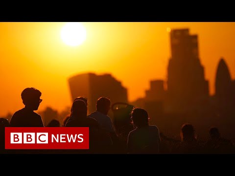 Catastrophic climate change outcomes like human extinction ‘not being taken seriously’ – BBC News