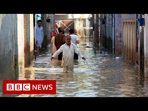 One third of Pakistan is under flood water, says minister – BBC News