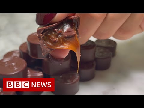 Can you replace cocoa in chocolate? – BBC News