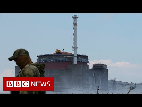 Russia rockets damaged part of Zaporizhzhia nuclear plant says Ukraine – BBC News